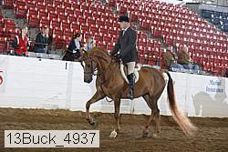 13buck_4937 proof