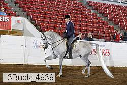 13buck_4939 proof