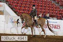 13buck_4941 proof