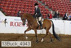 13buck_4943 proof