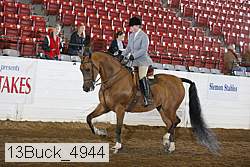 13buck_4944 proof