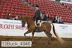 13buck_4946 proof