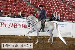 13buck_4947 proof