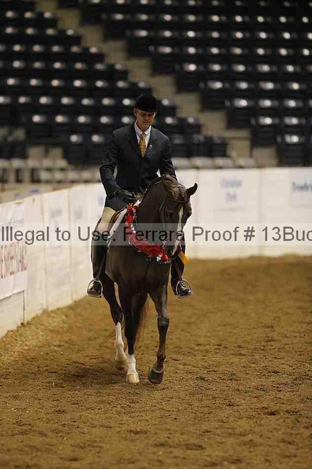 Proof 13buck_4953