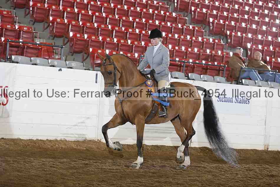 Proof 13buck_4954