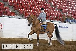 13buck_4954 proof