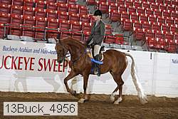 13buck_4956 proof