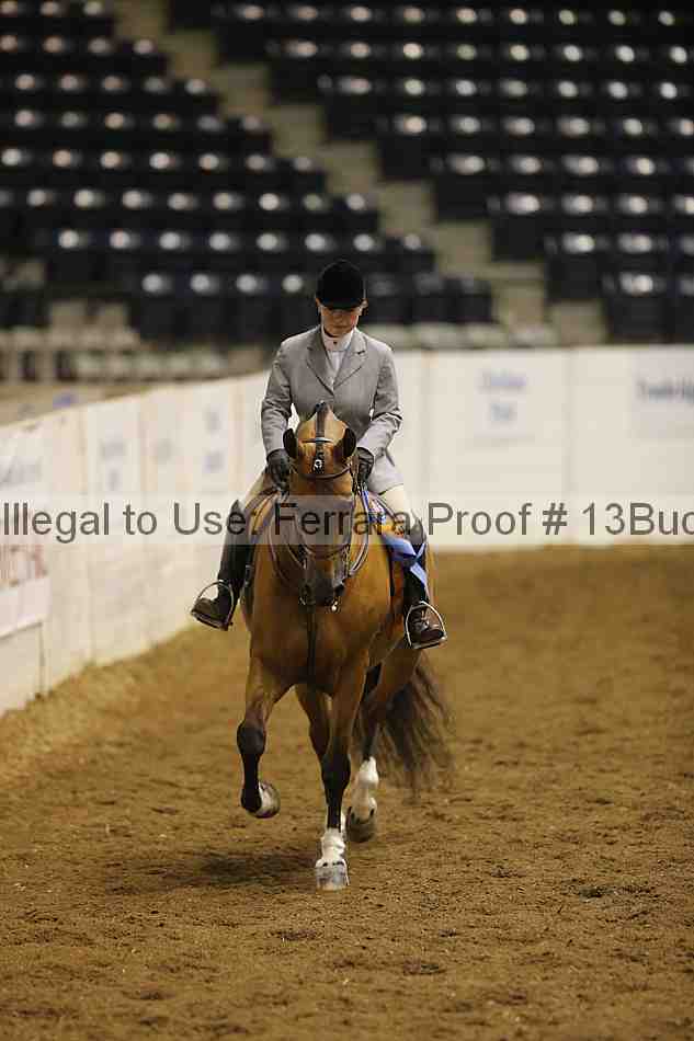 Proof 13buck_4957