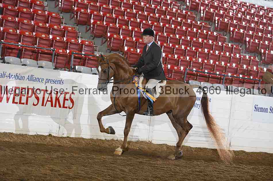 Proof 13buck_4960