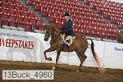 13buck_4960 proof