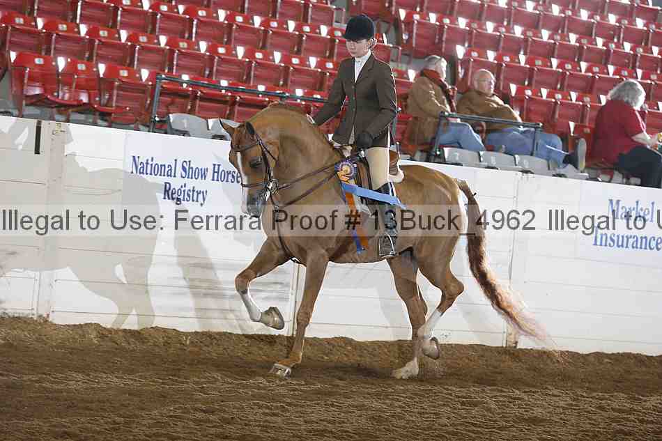 Proof 13buck_4962