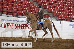 13buck_4963 proof