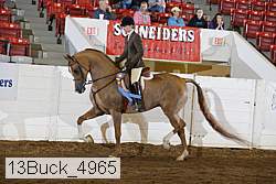 13buck_4965 proof