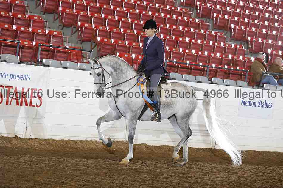 Proof 13buck_4966