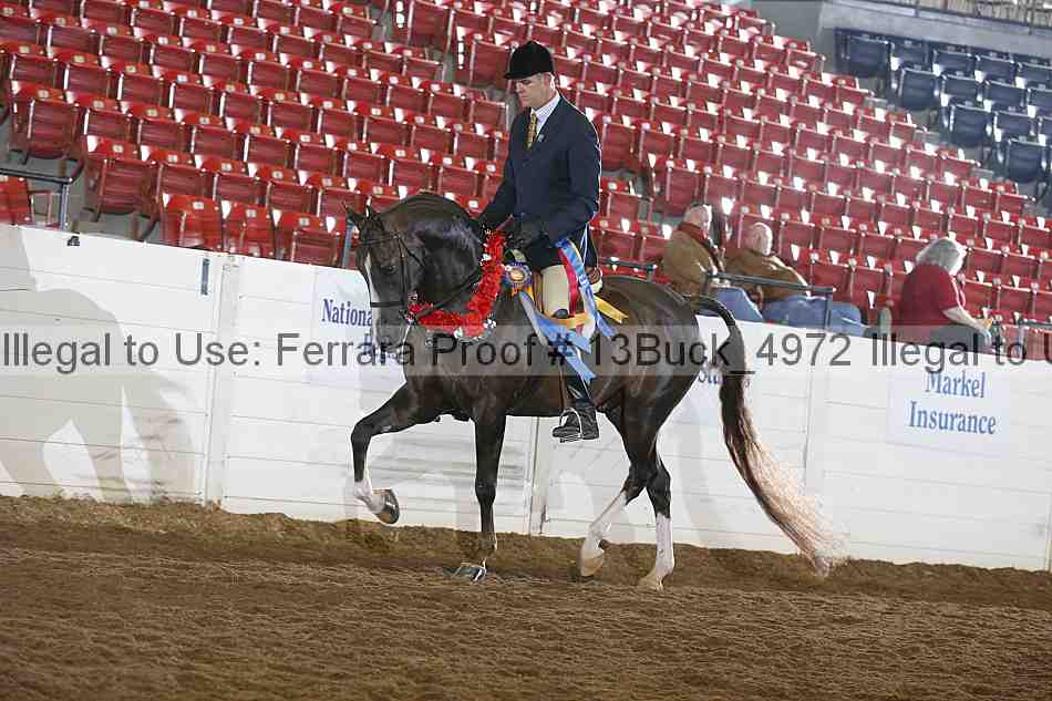 Proof 13buck_4972