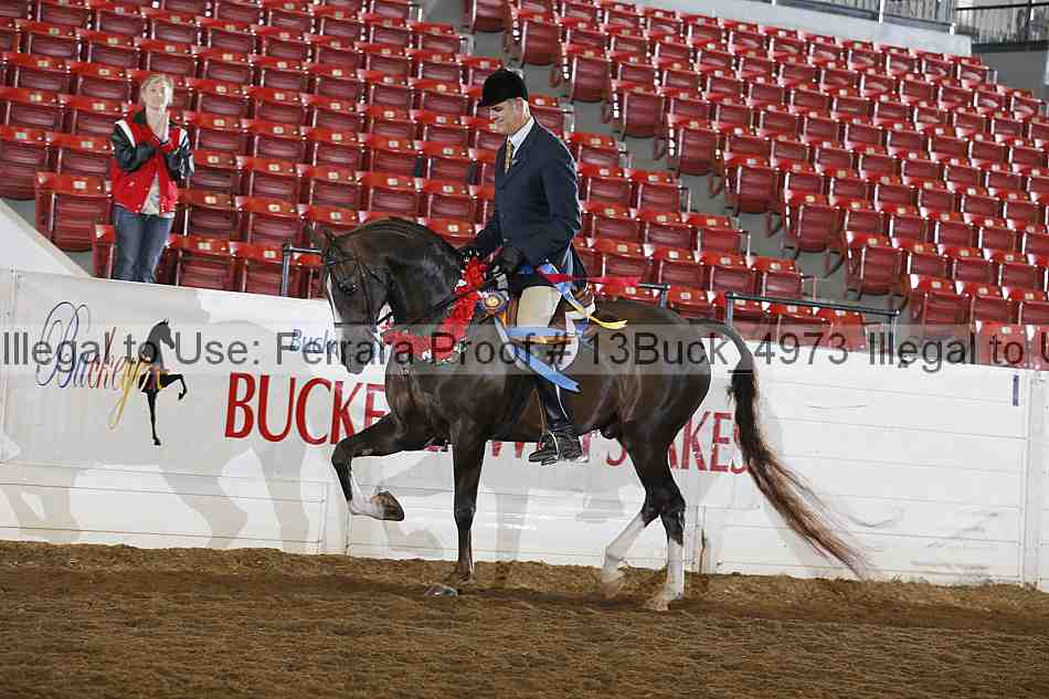 Proof 13buck_4973