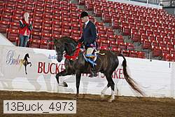13buck_4973 proof