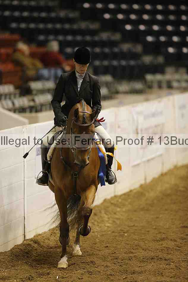 Proof 13buck_4974