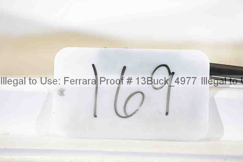 Proof 13buck_4977