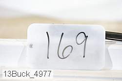 13buck_4977 proof