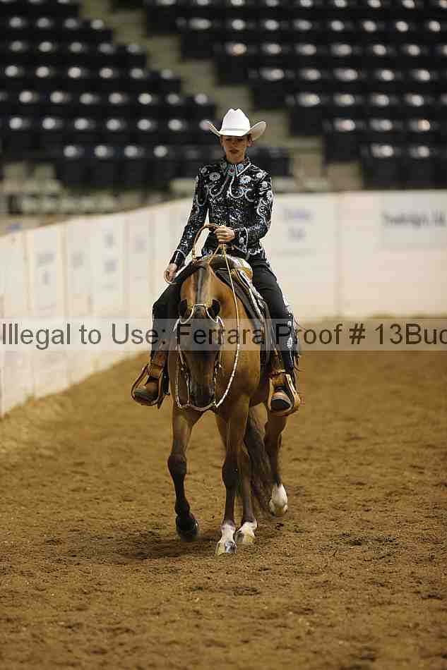 Proof 13buck_4979