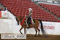 13buck_4990 proof