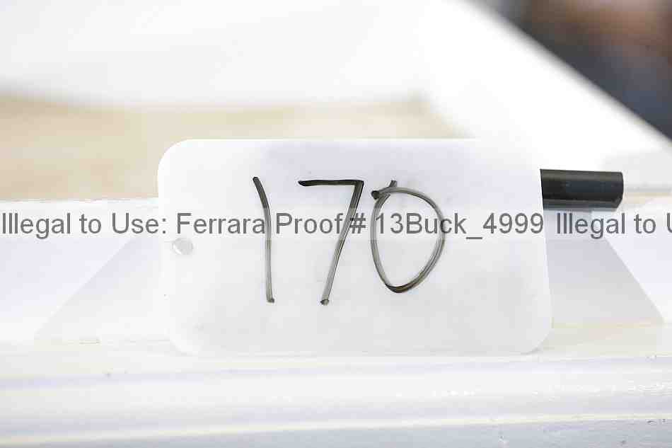 Proof 13buck_4999
