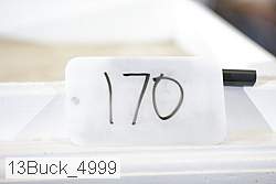 13buck_4999 proof
