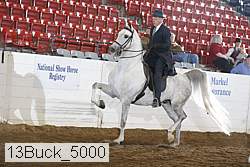 13buck_5000 proof