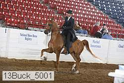 13buck_5001 proof
