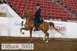 13buck_5003 proof
