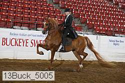13buck_5005 proof
