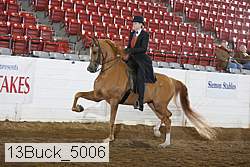 13buck_5006 proof