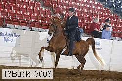 13buck_5008 proof