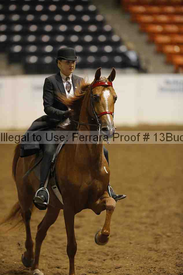 Proof 13buck_5009