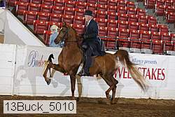 13buck_5010 proof