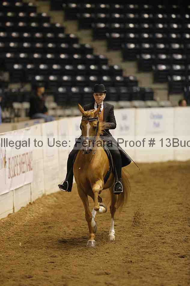Proof 13buck_5011