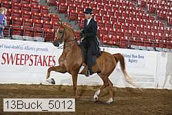 13buck_5012 proof