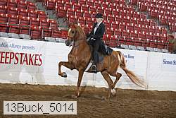 13buck_5014 proof