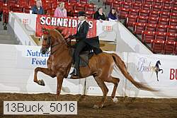 13buck_5016 proof
