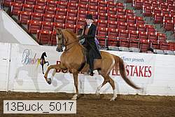 13buck_5017 proof
