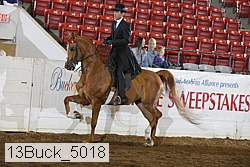 13buck_5018 proof