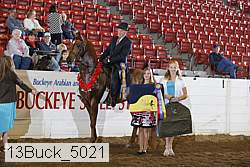 13buck_5021 proof
