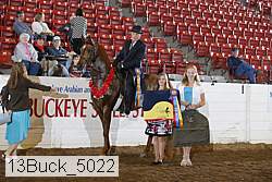 13buck_5022 proof