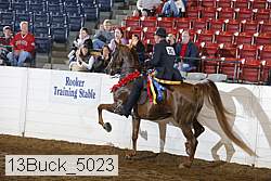 13buck_5023 proof