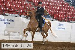 13buck_5024 proof