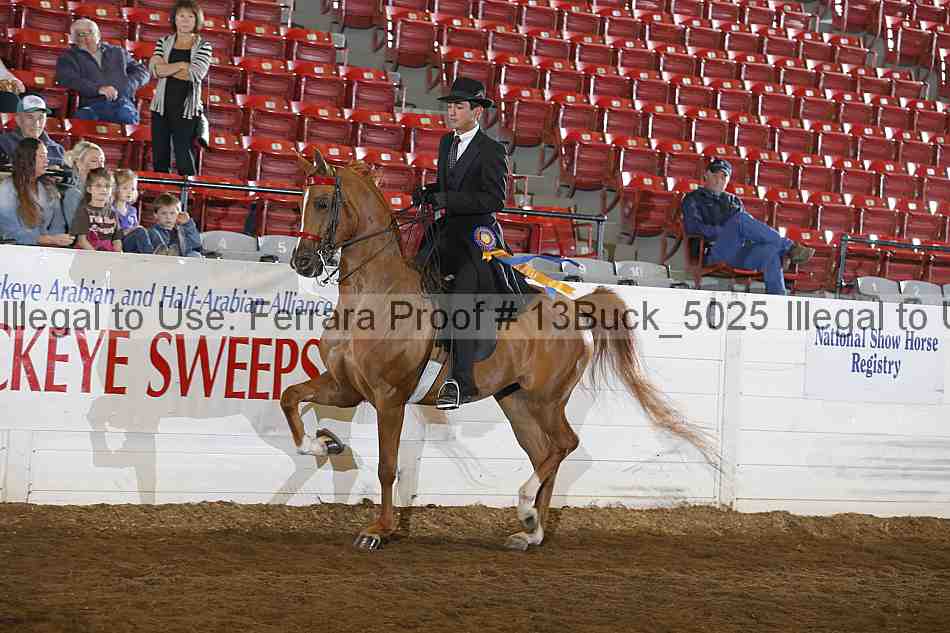 Proof 13buck_5025