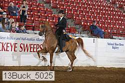 13buck_5025 proof