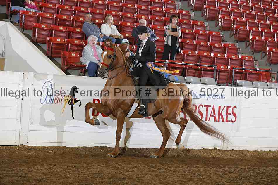 Proof 13buck_5027