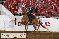 13buck_5027 proof